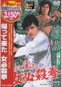 帰ってきた女必殺拳