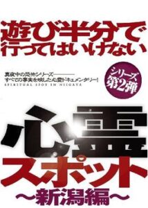 遊び半分で行ってはいけない心霊スポット ～新潟編～