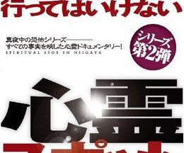 遊び半分で行ってはいけない心霊スポット ～新潟編～