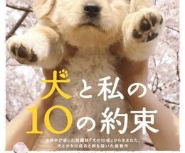 犬と私の10の約束