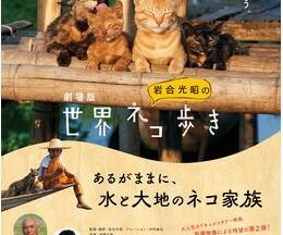 劇場版 岩合光昭の世界ネコ歩き あるがままに、水と大地のネコ家族