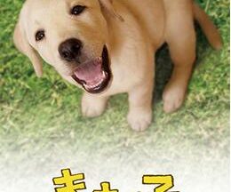 きな子〜見習い警察犬の物語〜