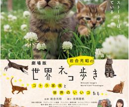 劇場版 岩合光昭の世界ネコ歩き コトラ家族と世界のいいコたち