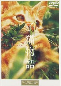 子猫物語