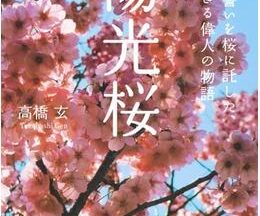 200409陽光桜 YOKO THE CHERRY BLOSSOM114