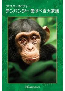 200409ディズニーネイチャー チンパンジー 愛すべき大家族78
