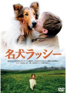 200409名犬ラッシー100