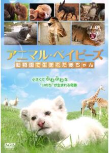 200409アニマル・ベイビーズ 動物園で生まれた赤ちゃん90