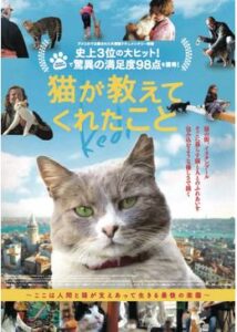 200409猫が教えてくれたこと79