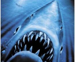 200409JAWS／ジョーズ2116