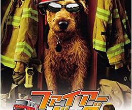 200409ファイアー・ドッグ 消防犬デューイの大冒険111