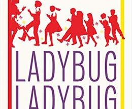 200409Ladybug Ladybug82