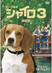 200409ビーグル犬 シャイロ3 -最終章-90
