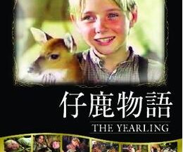 200409仔鹿物語128