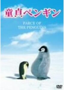 200409童貞ペンギン80