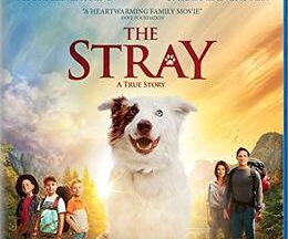 200409The Stray92