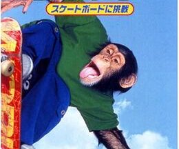 200409天才チンパンジー ジャック／スケートボードに挑戦87