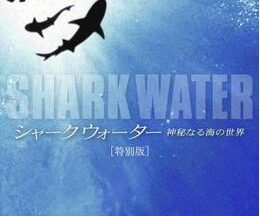 200409シャークウォーター 神秘なる海の世界89