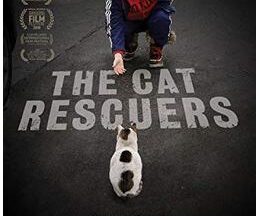 200409The Cat Rescuers87