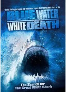 200409青い海と白い鮫99
