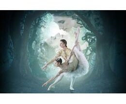 200409英国ロイヤル・オペラ・ハウス シネマシーズン 2016/17 ロイヤル・バレエ「眠れる森の美女」205
