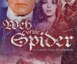 200409Web of the Spider102