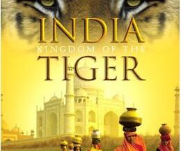 200409India: Kingdom of Tiger42