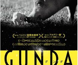 200409GUNDA／グンダ93