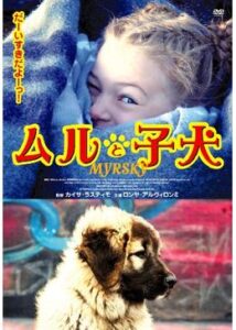 200409ムルと子犬95