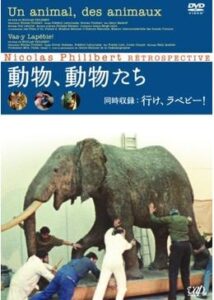 200409動物、動物たち59