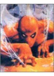 200409アメリカンコミックス・スーパーヒーロー クロニクル100