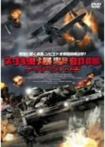 200409対独爆撃部隊ナイトウィッチ76