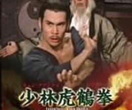 200409少林虎鶴拳96