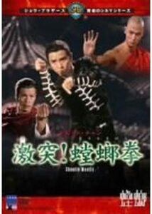 200409激突！螳螂拳96