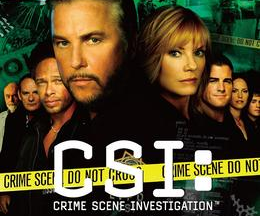 CSI：科学捜査班 シーズン6