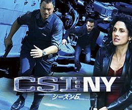 CSI：ニューヨーク シーズン6