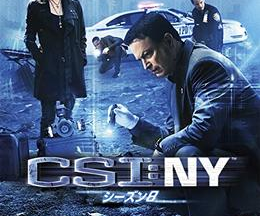 CSI：ニューヨーク シーズン8