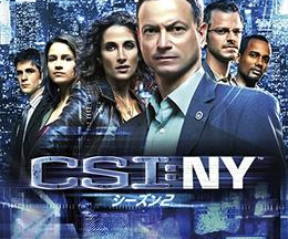 CSI：ニューヨーク シーズン2