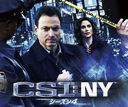 CSI：ニューヨーク シーズン4