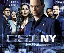 CSI：ニューヨーク シーズン3