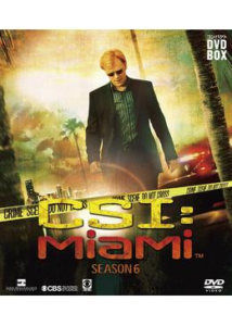 CSI：マイアミ シーズン6