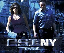 CSI：ニューヨーク シーズン5