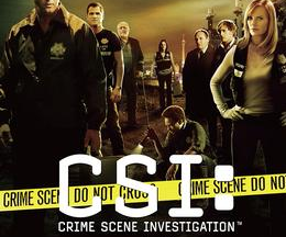 CSI：科学捜査班 シーズン8