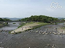 ドキュメント72時間 京都 青春の鴨川デルタ