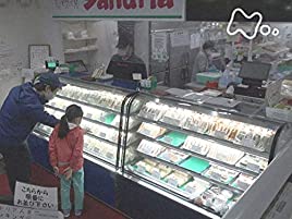 ドキュメント72時間 札幌・サンドイッチ店 24時間営業は続く